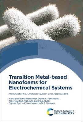 Transition Metal-based Nanofoams for Electrochemical Systems 1