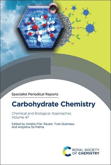Amélia Pilar Rauter, Yves Queneau, Angelina Sá Palma - Carbohydrate Chemistry, Inbunden