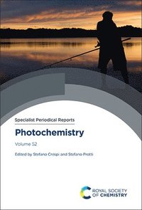 bokomslag Photochemistry