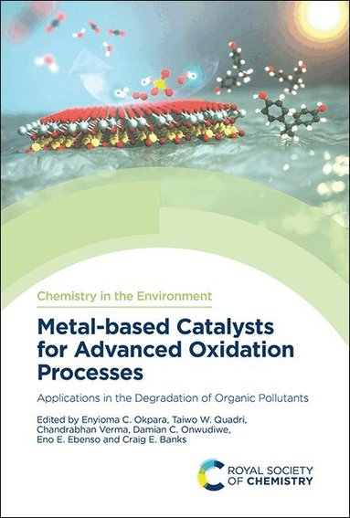 Enyioma C Okpara, Taiwo W Quadri, Chandrabhan Verma, Damian C Onwudiwe, Eno E Ebenso, Craig E Banks - Metal-based Catalysts for Advanced Oxidation Processes, Inbunden