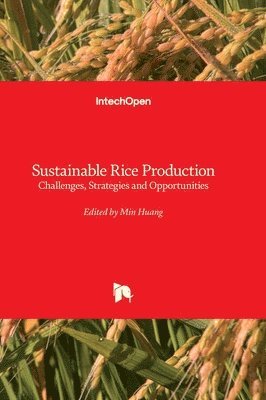 bokomslag Sustainable Rice Production