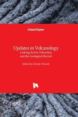 bokomslag Updates in Volcanology