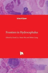 bokomslag Frontiers in Hydrocephalus