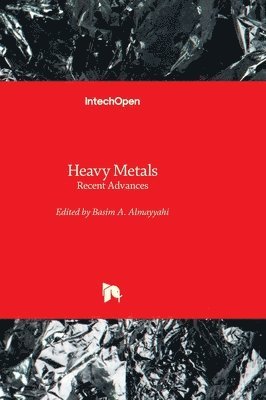 bokomslag Heavy Metals