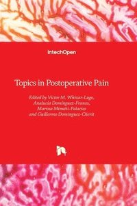 bokomslag Topics in Postoperative Pain