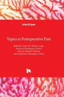 bokomslag Topics in Postoperative Pain