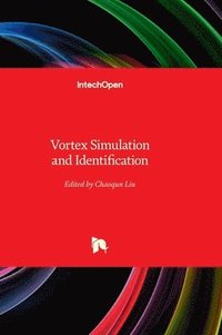 bokomslag Vortex Simulation and Identification
