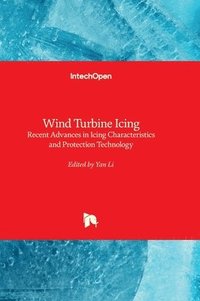 bokomslag Wind Turbine Icing