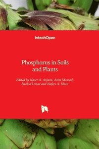 bokomslag Phosphorus in Soils and Plants