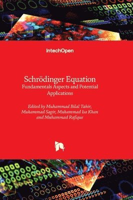 bokomslag Schrdinger Equation