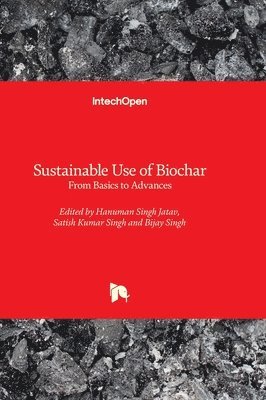 bokomslag Sustainable Use of Biochar