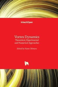 bokomslag Vortex Dynamics