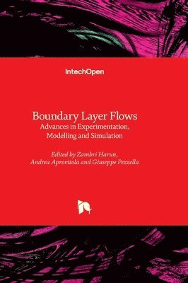 bokomslag Boundary Layer Flows