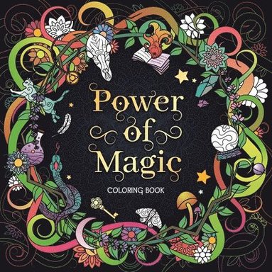 bokomslag The Power of Magic