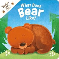 bokomslag What Does Bear Like?: Touch & Feel Board Book