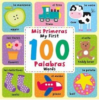 bokomslag MIS Primeras 100 Palabras