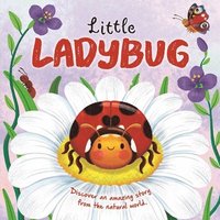 bokomslag Igloobooks: Nature Stories: Little Ladybug Discover an Amazi