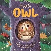 bokomslag Igloobooks: Nature Stories: Little Owl-Discover an Amazing S