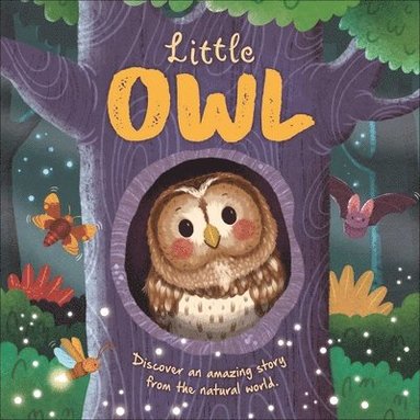 Igloobooks, Rose Harkness - Nature Stories: Little Owl-Discover an Amazing Story from the Natural World: Padded Board Book, Kartonnage