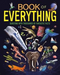 bokomslag Book of Everything