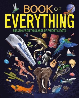 bokomslag Book of Everything