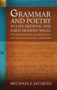 bokomslag Grammar and Poetry in Late Medieval and Early Modern Wales