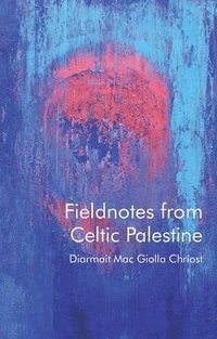 bokomslag Fieldnotes from Celtic Palestine