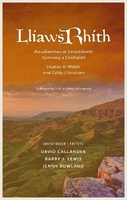 bokomslag Lliaws Rhith