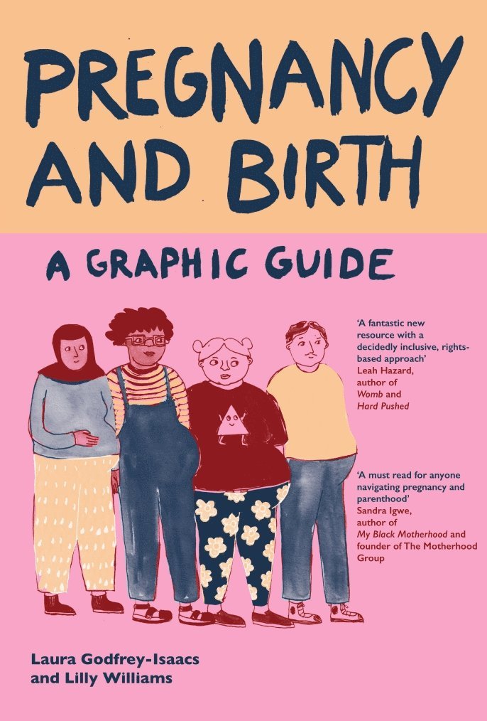 Pregnancy and Birth: A Graphic Guide