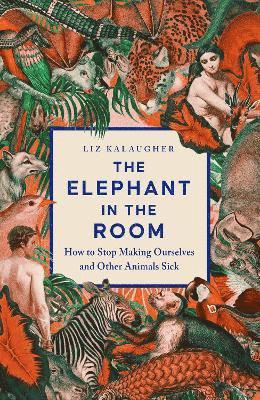 bokomslag Elephant in the Room