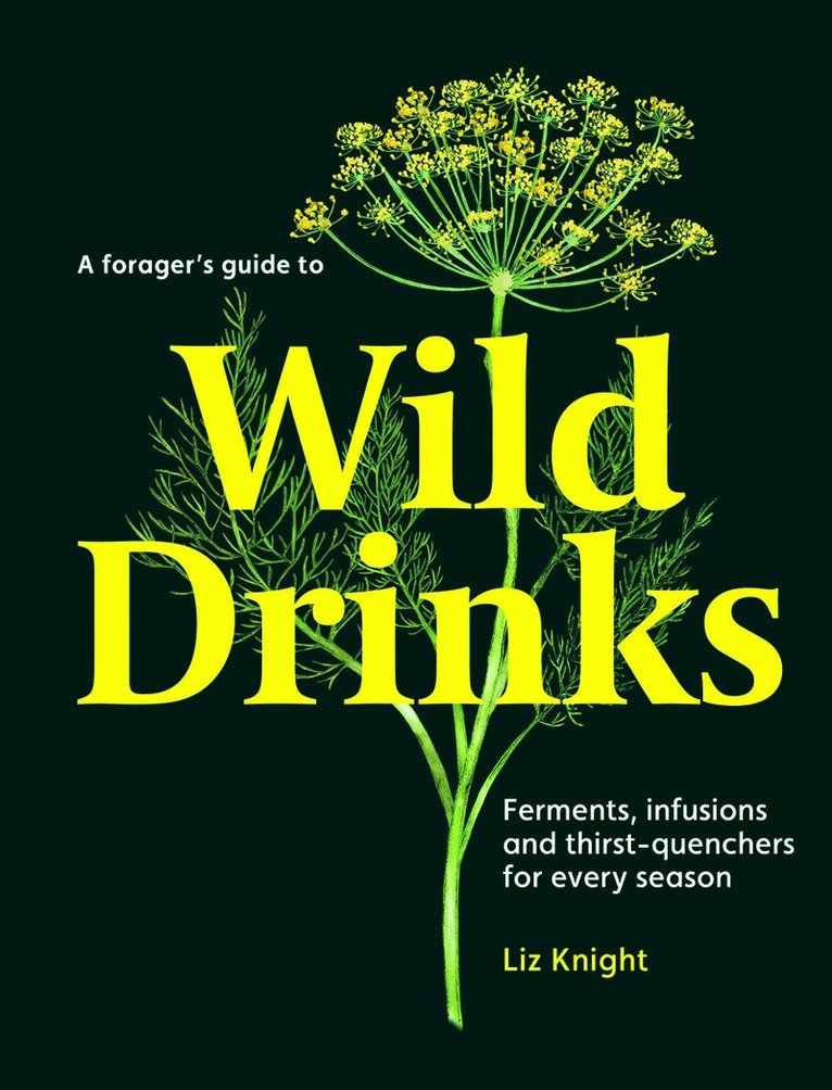 Forager's Guide to Wild Drinks