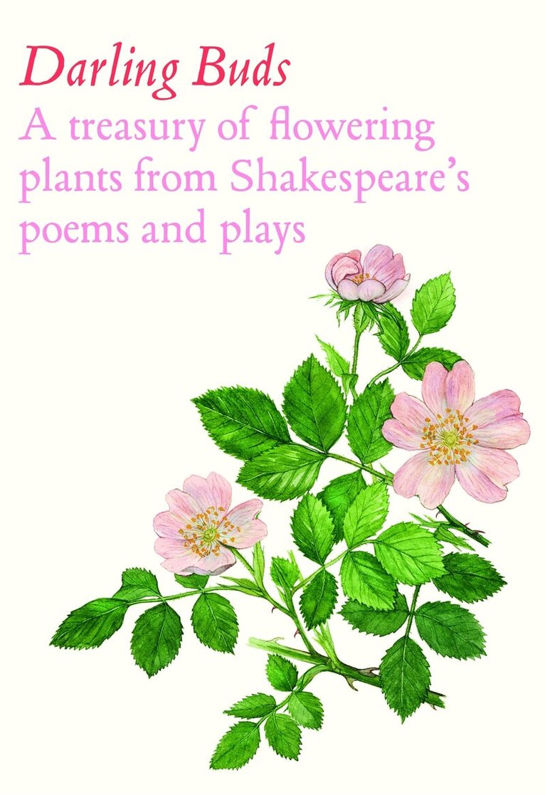 William Shakespeare - Darling Buds, Inbunden