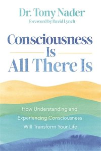 bokomslag Consciousness Is All There Is