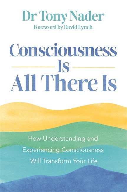 Consciousness Is All There Is 1