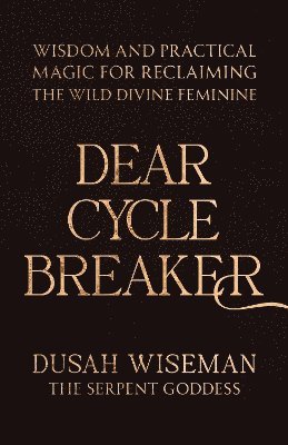 bokomslag Dear Cycle Breaker