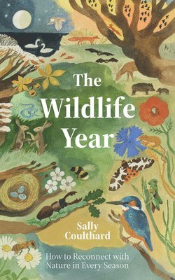 Wildlife Year 1
