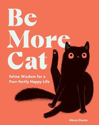 Be More Cat 1