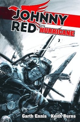 bokomslag Johnny Red: The Hurricane