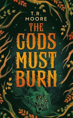 bokomslag Gods Must Burn