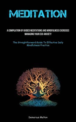 bokomslag Meditation