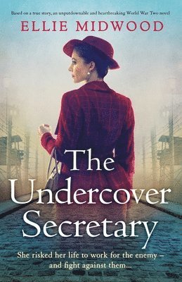 The Undercover Secretary 1