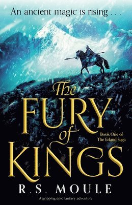 bokomslag Fury of Kings