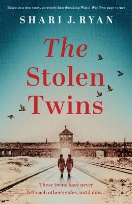 bokomslag Stolen Twins
