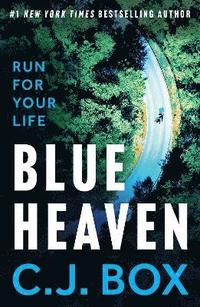 bokomslag Blue Heaven
