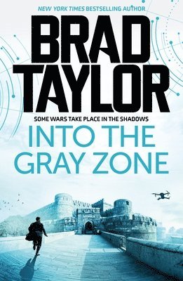 bokomslag Into the Gray Zone