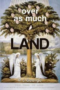 bokomslag Over As Much Land