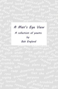 bokomslag Man's Eye View