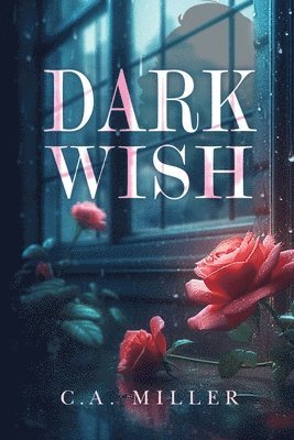 bokomslag Dark Wish