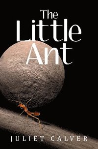 bokomslag Little Ant