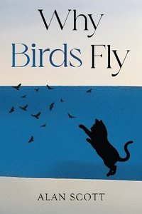 bokomslag Why Birds Fly